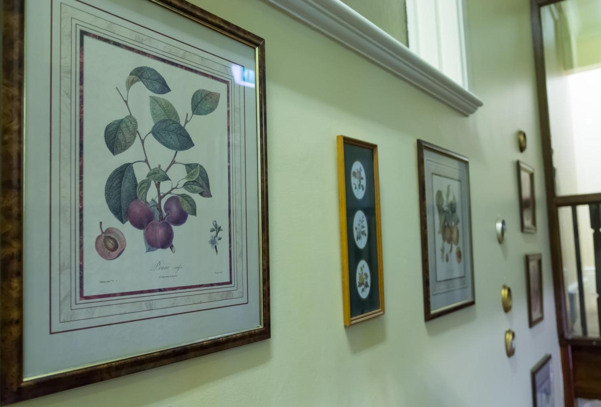 Toorak Manor Hotel Melbourne Zewnętrze zdjęcie